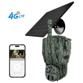 Hunting Camera P6