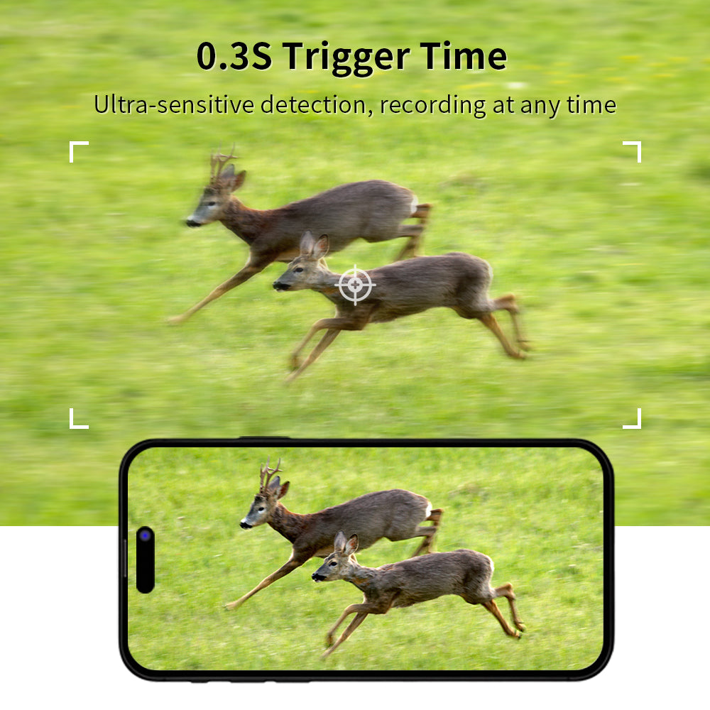 Hunting Camera A8